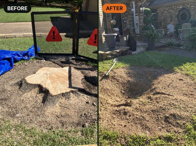 Before and after: large front-yard stump ground out and filled level by Grind Time Stump Removal DFW